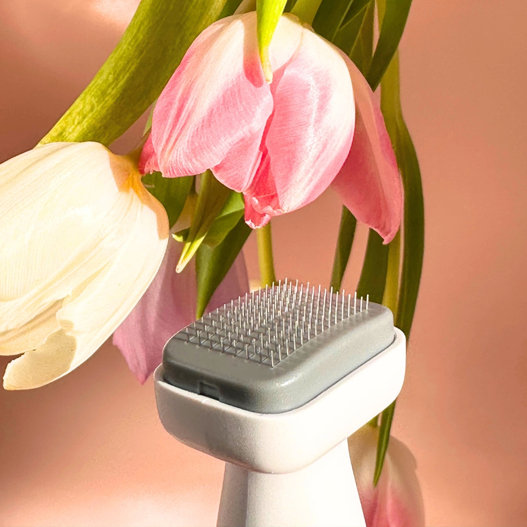 Hair Elixir Starter Kit